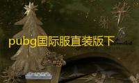 pubg国际服直装版下载